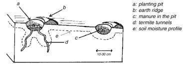  ANSCHUETZ et al. (2003)